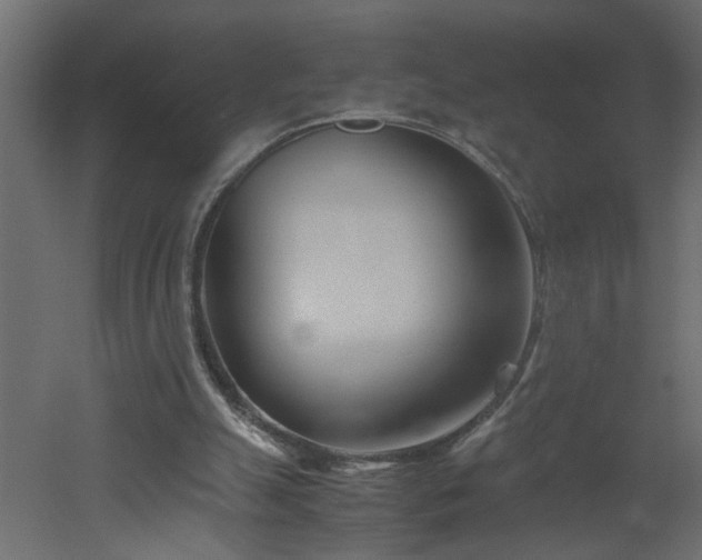 X0000051870055200506241358