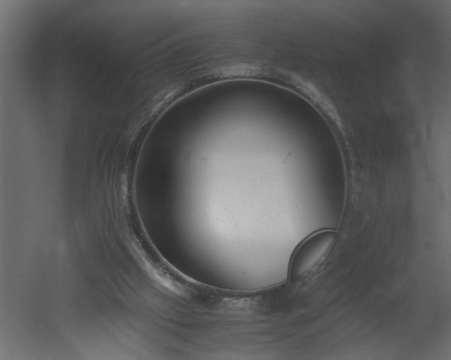 X0000051870057200506241358