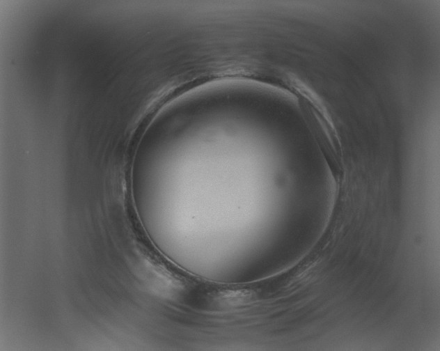 X0000051870059200506241358