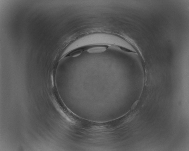 X0000051870061200506241358