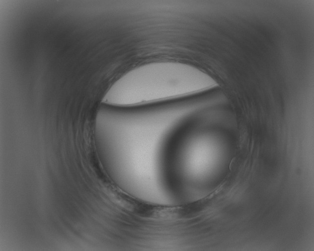 X0000051870078200506241358