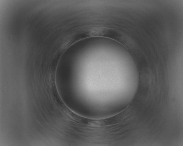 X0000051870079200506241358