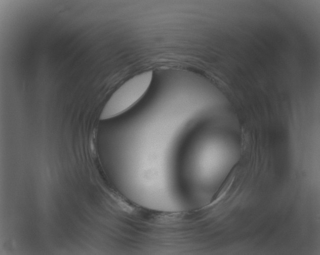 X0000051870094200506241358