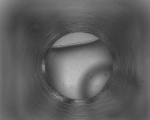X0000051870095200506241358