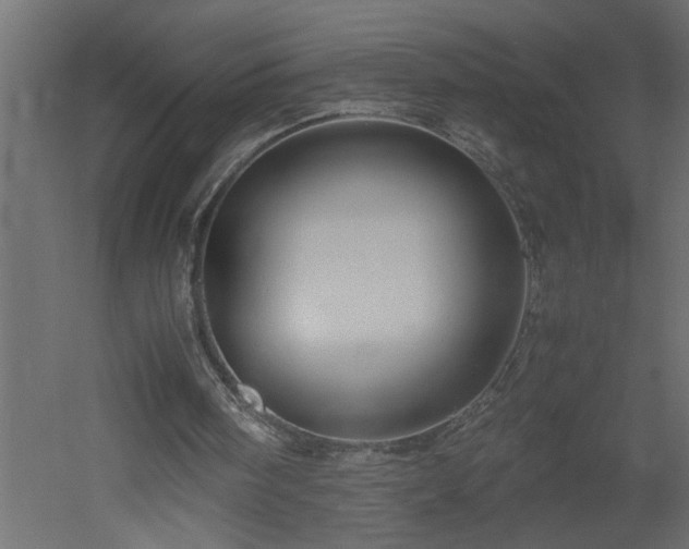 X0000051870098200506241358