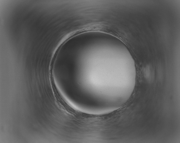 X0000051870100200506241358