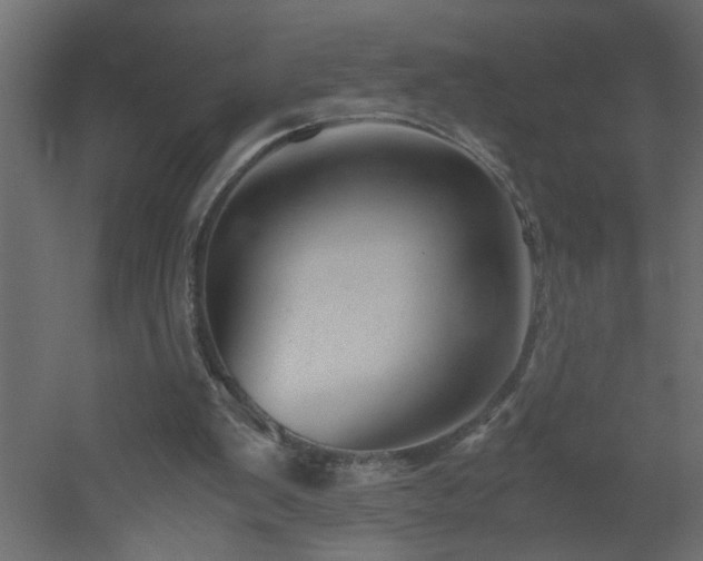 X0000051870103200506241358