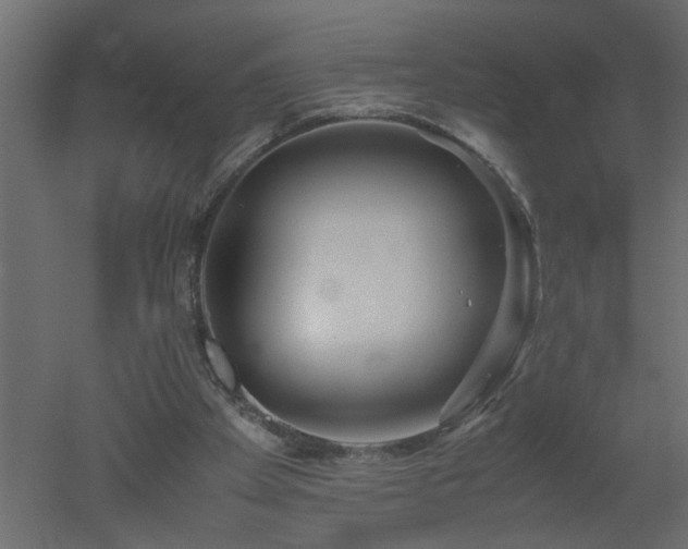 X0000051870105200506241358