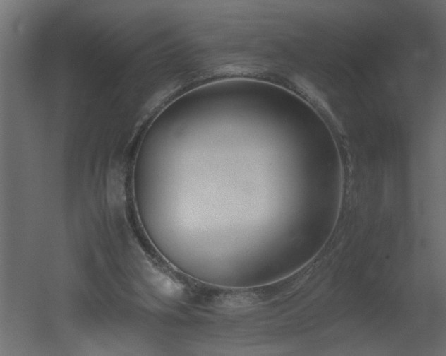 X0000051870106200506241357