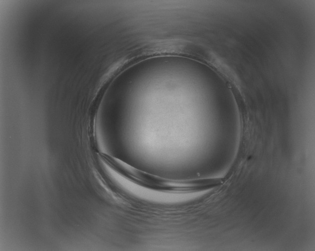 X0000051870107200506241357