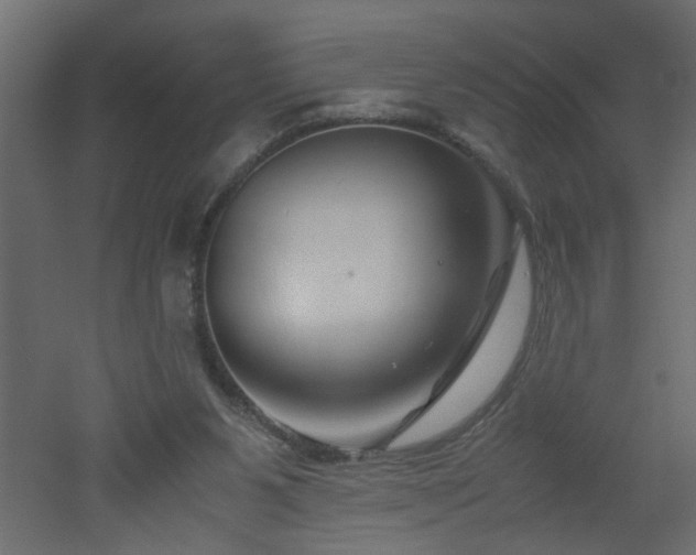 X0000051870111200506241357