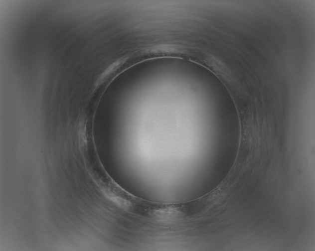X0000051870112200506241357