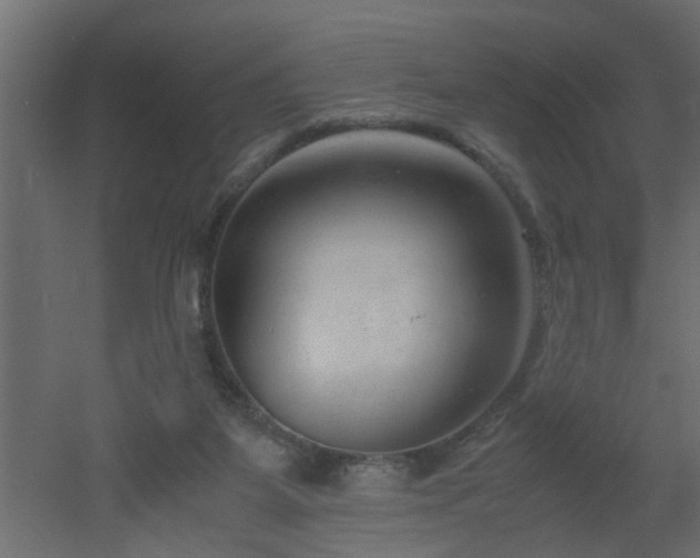X0000051870115200506241357