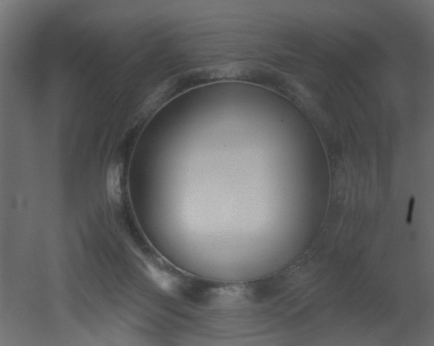 X0000051870118200506241357