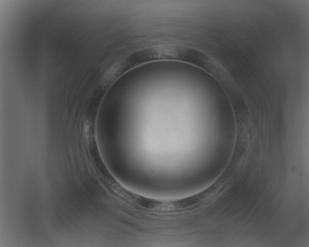 X0000051870123200506241357