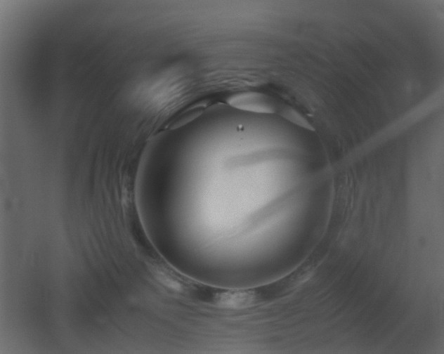 X0000051870135200506241357