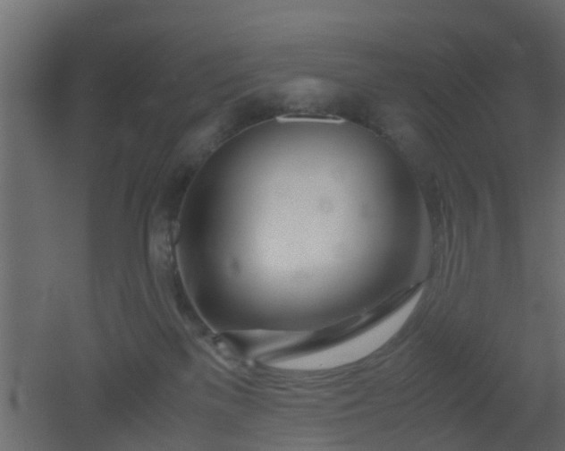 X0000051870137200506241357