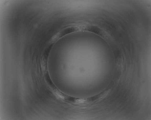 X0000051870139200506241357