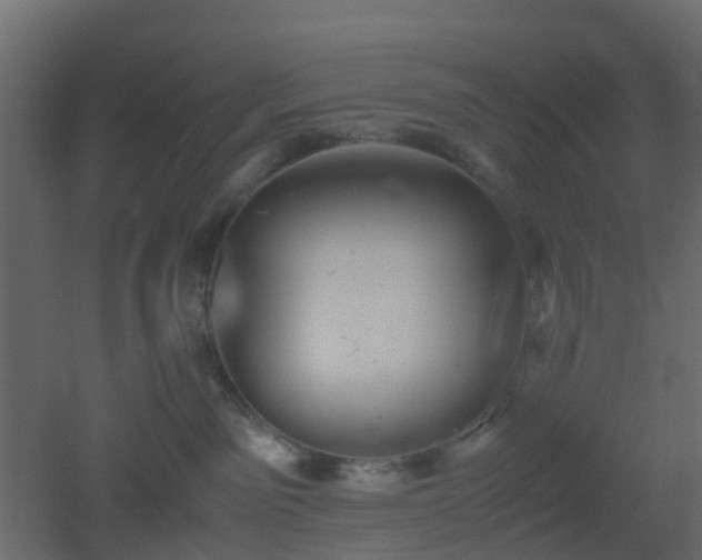 X0000051870141200506241357