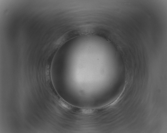 X0000051870144200506241357