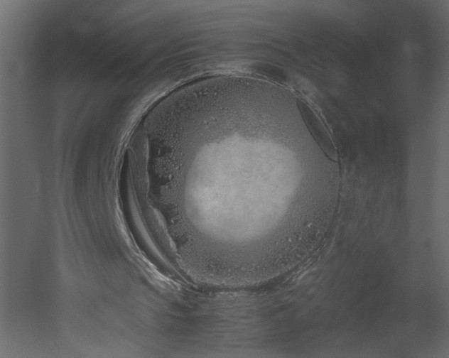 X0000051870145200506241356