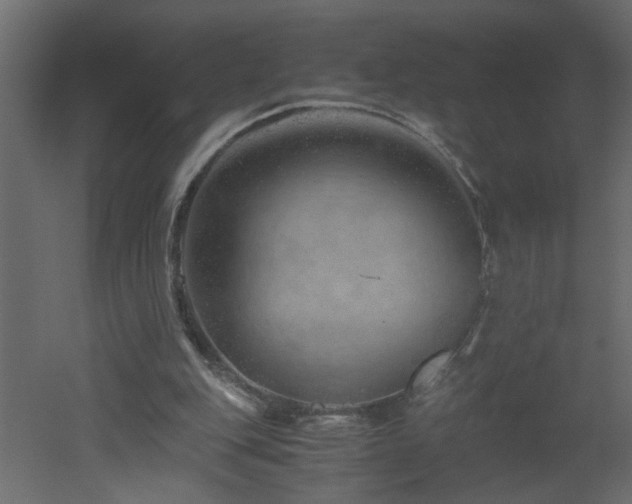 X0000051870151200506241356