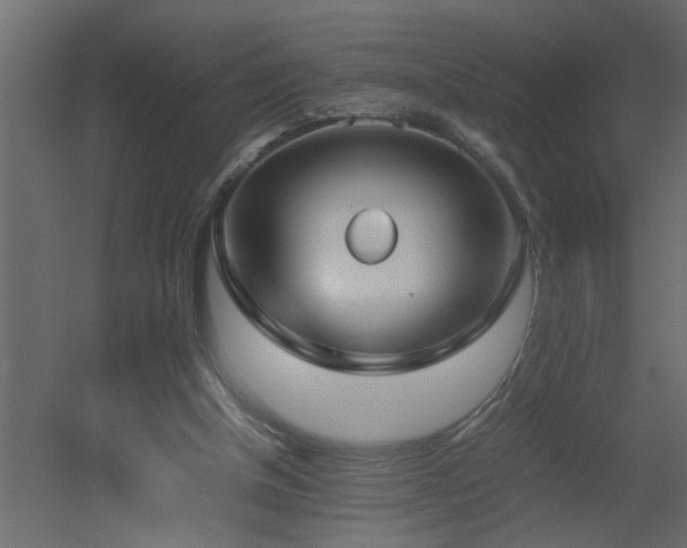 X0000051870154200506241356