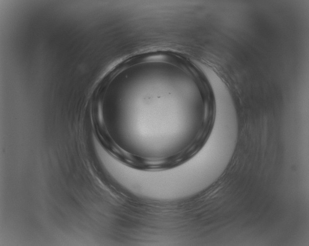 X0000051870156200506241356