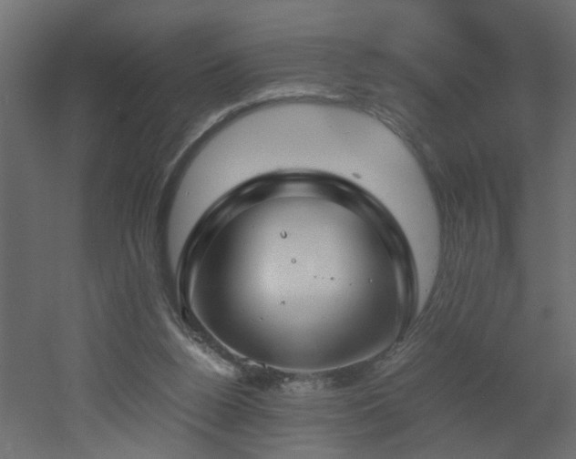 X0000051870160200506241356