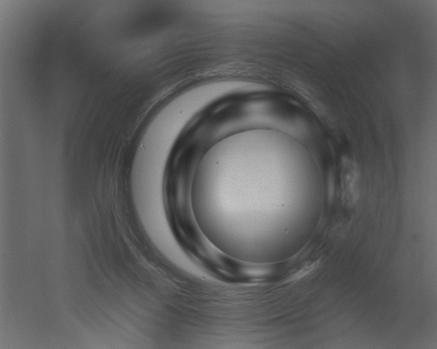 X0000051870164200506241356