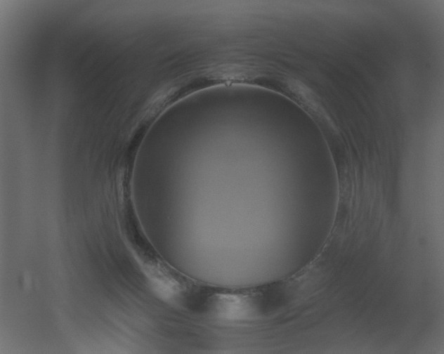 X0000051870167200506241356