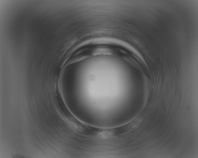 X0000051870168200506241356