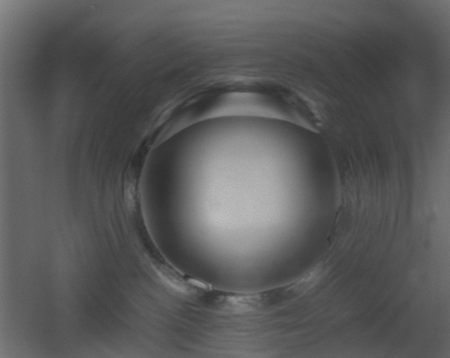 X0000051870188200506241357
