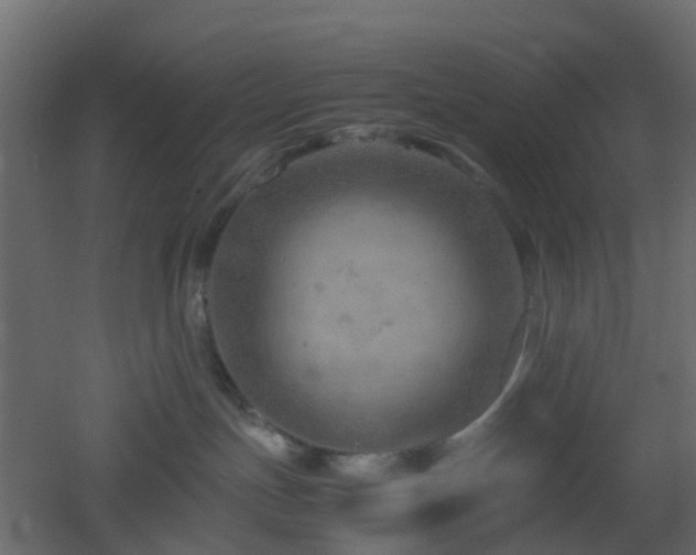 X0000051870191200506241357