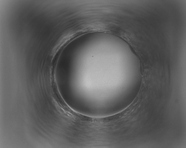 X0000051870194200506241356
