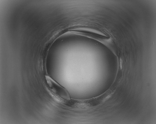 X0000051870205200506241356