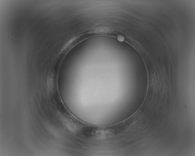 X0000051870208200506241356