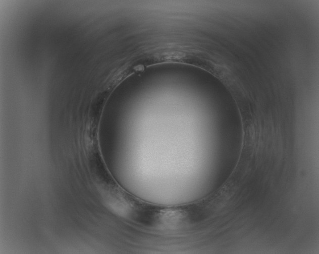 X0000051870218200506241356