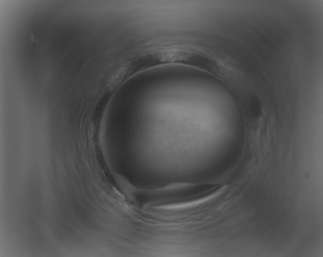 X0000051870219200506241356
