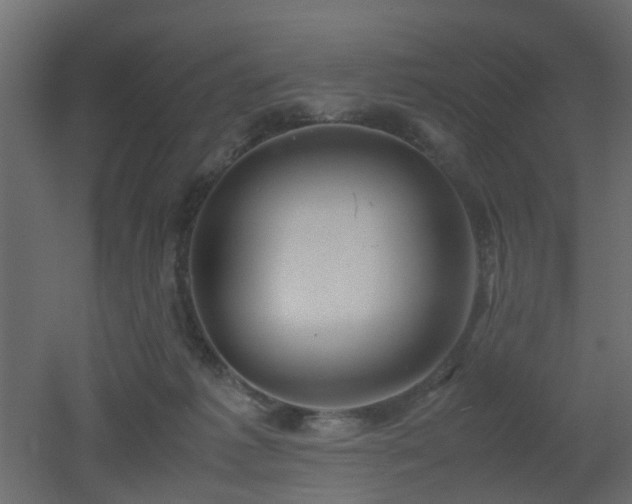 X0000051870221200506241356