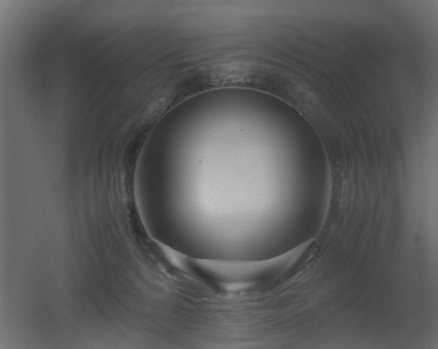 X0000051870224200506241355