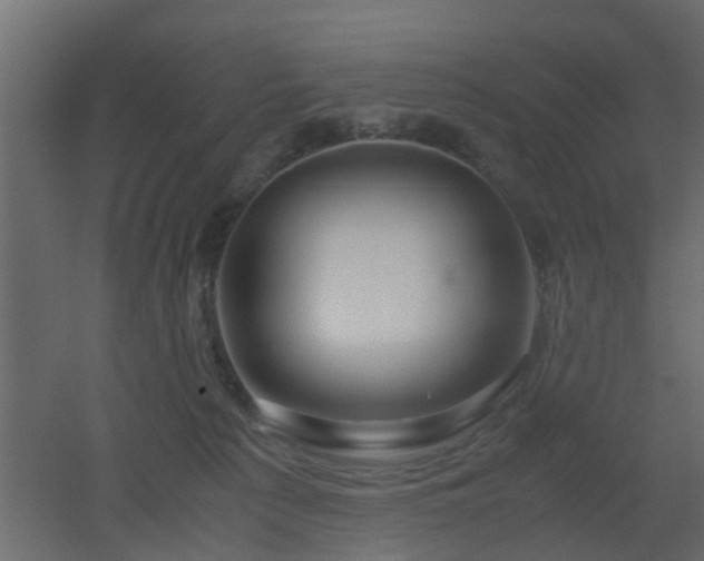 X0000051870225200506241355