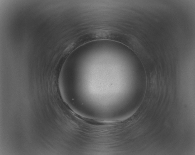 X0000051870228200506241355