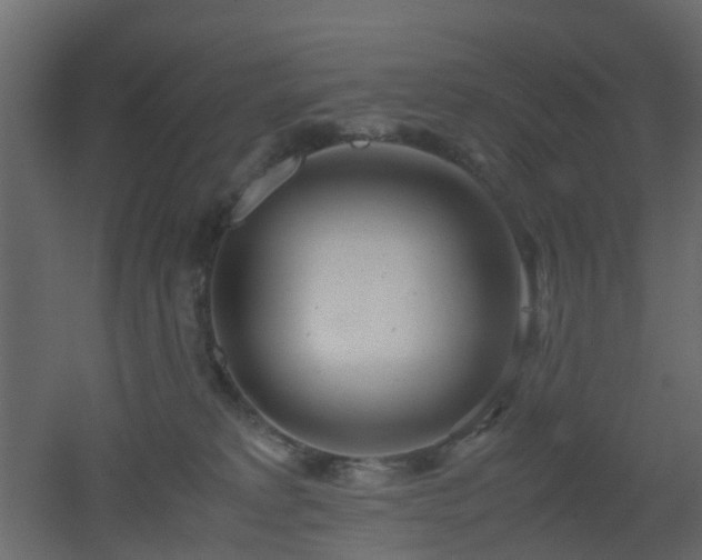 X0000051870229200506241355