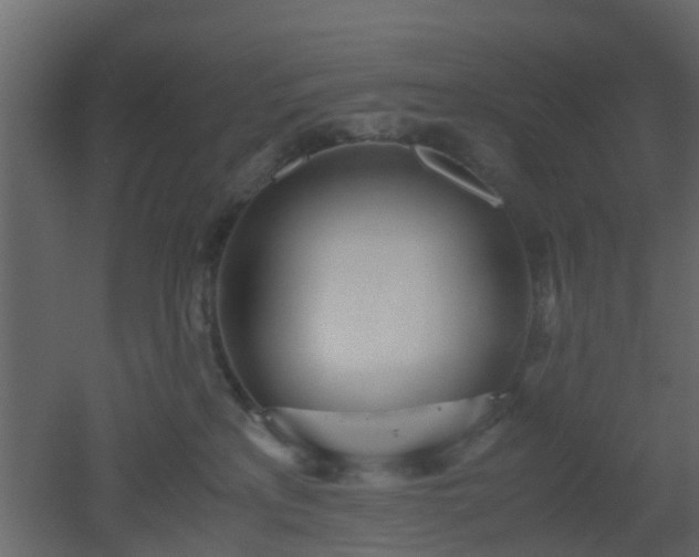 X0000051870233200506241355