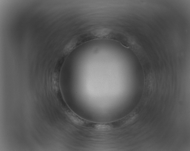 X0000051870234200506241355