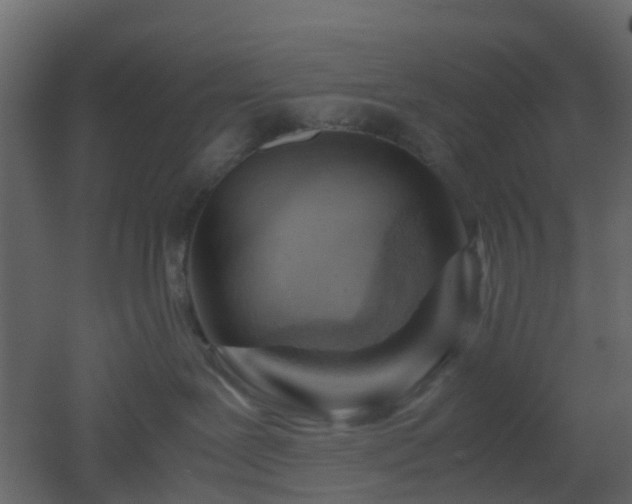 X0000051870239200506241355