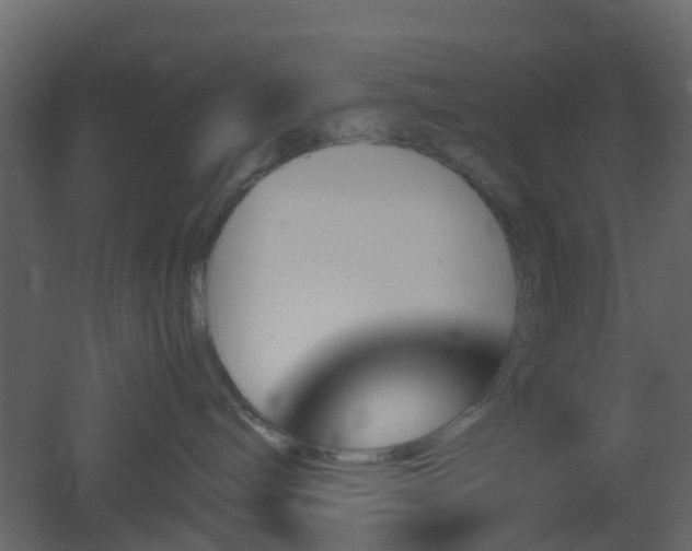 X0000051870240200506241355