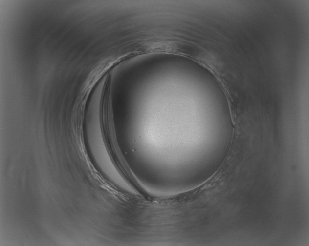 X0000051870241200506241354