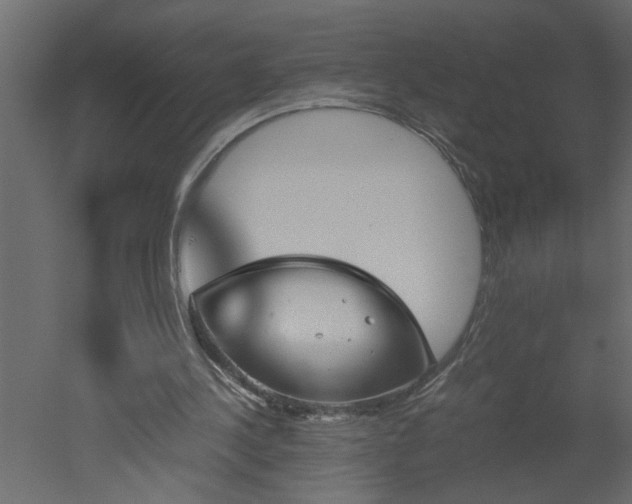X0000051870244200506241354